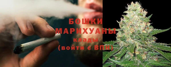 стаф Верея