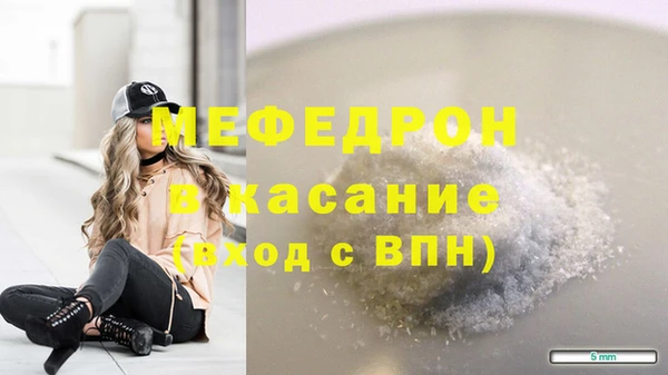стаф Верея