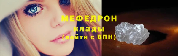 стаф Верея