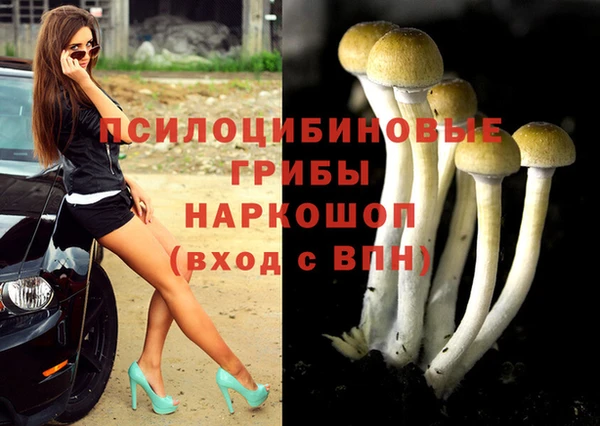 стаф Верея