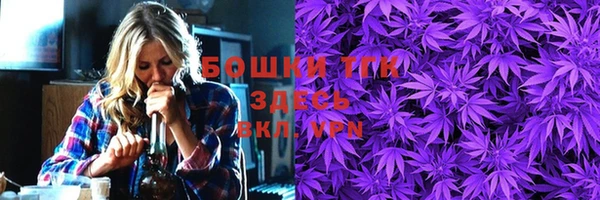 стаф Верея
