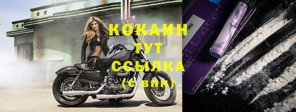 стаф Верея