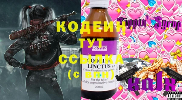 стаф Верея