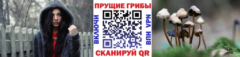 Галлюциногенные грибы Magic Shrooms Купить закладки Нелидово